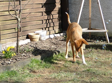 DSC08115.JPG