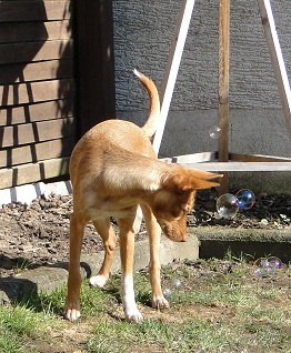 DSC08116.JPG