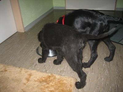 Bild 279.jpg
