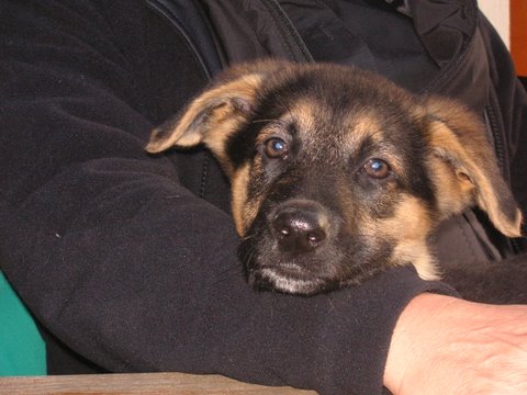PICT0904.JPG