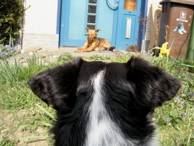 Boby+Capaz2.jpg