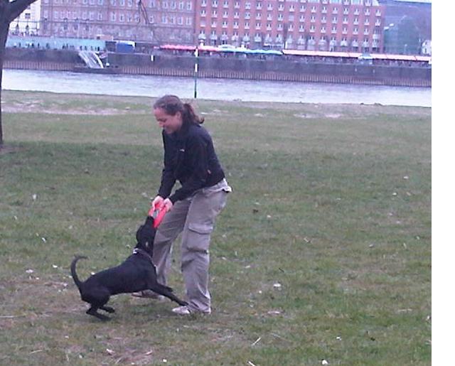 der Frisbee leidet.JPG