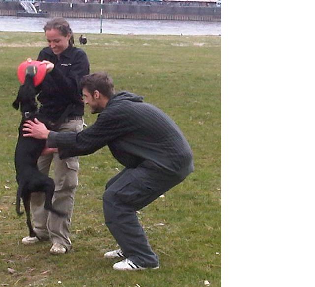 Jarvis im Kampf um die Frisbee.JPG