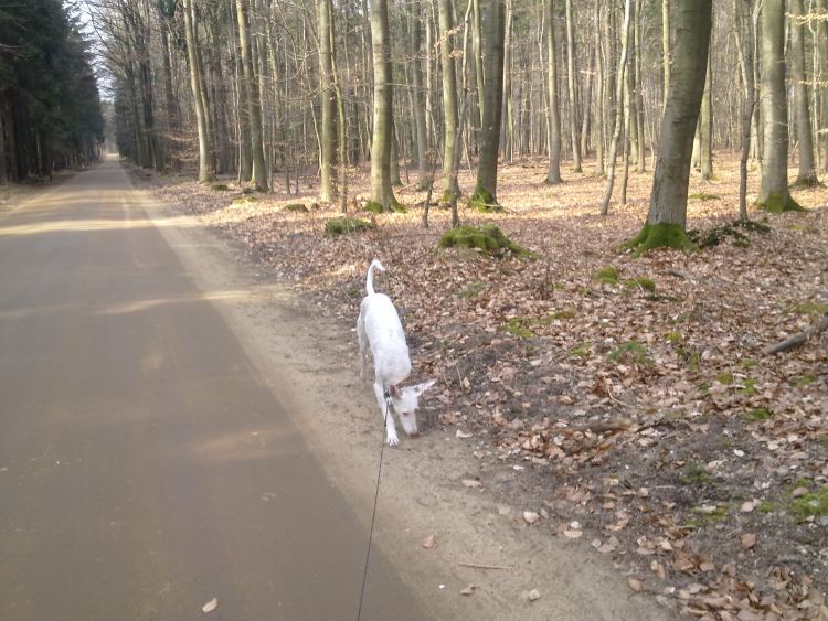 Bild 137_klein.jpg