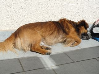 k-DSC00910.JPG