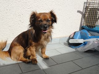 k-DSC00918.JPG