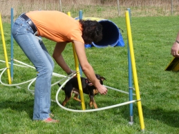 P1000449 kl.jpg