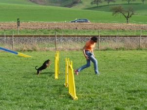 P1000469 kl.jpg