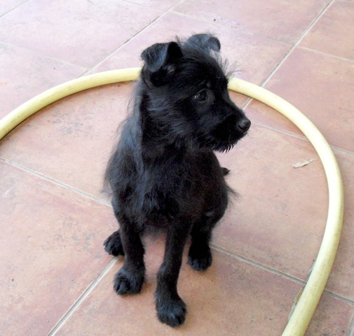 Madelene 2.jpg