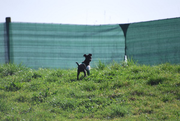 DSC_0484.jpg