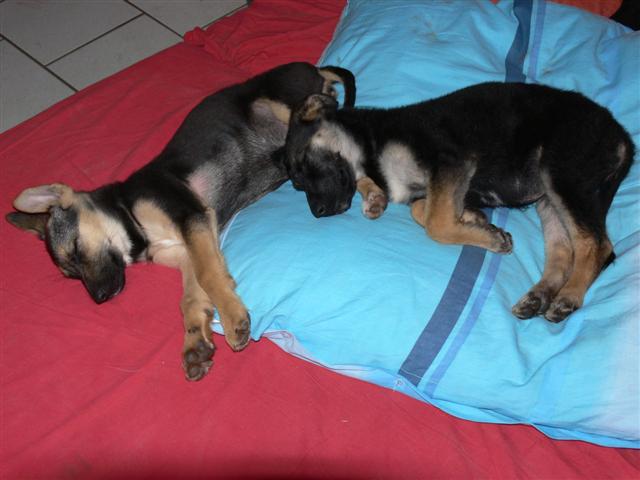 P1020458 (Small).JPG