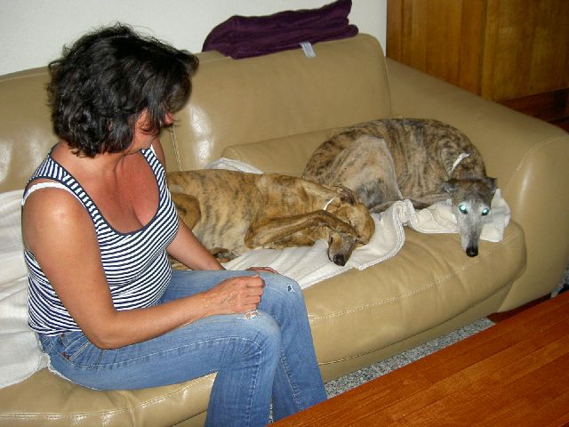 Quina im neuen Zuhause_08.jpg