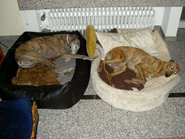 Quina im neuen Zuhause_03.jpg