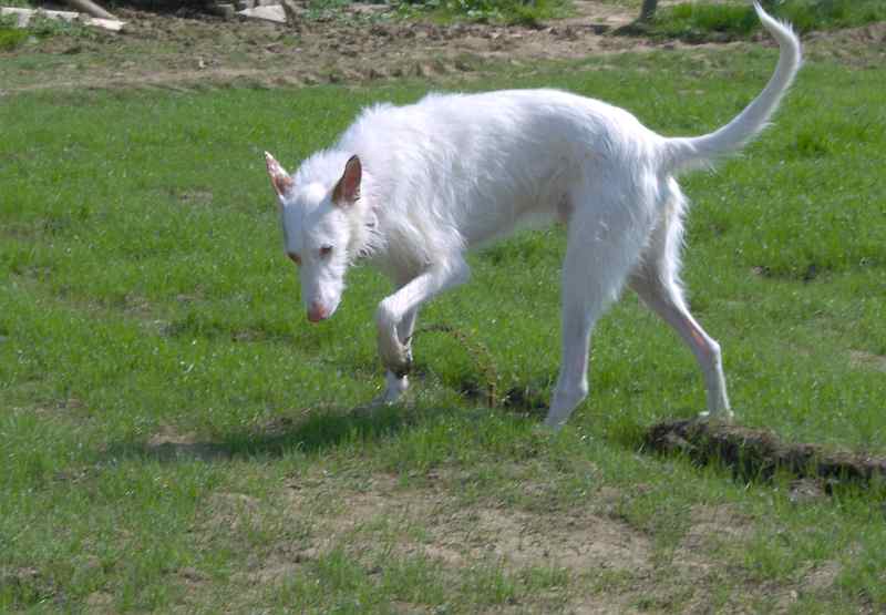 Arrimo300411_1.jpg
