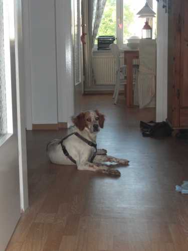 verkleinert(5).jpg
