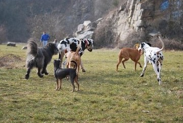 DSC_9700.JPG