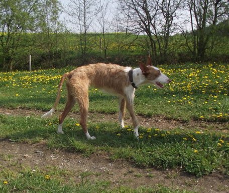 DSCF0376.JPG