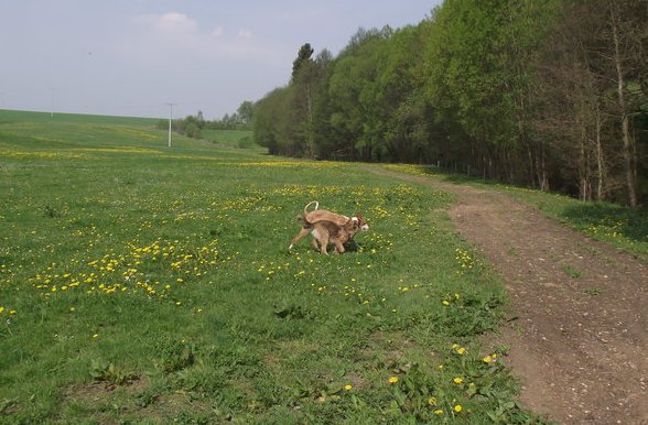 DSCF0379.JPG