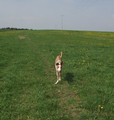 DSCF0386.JPG
