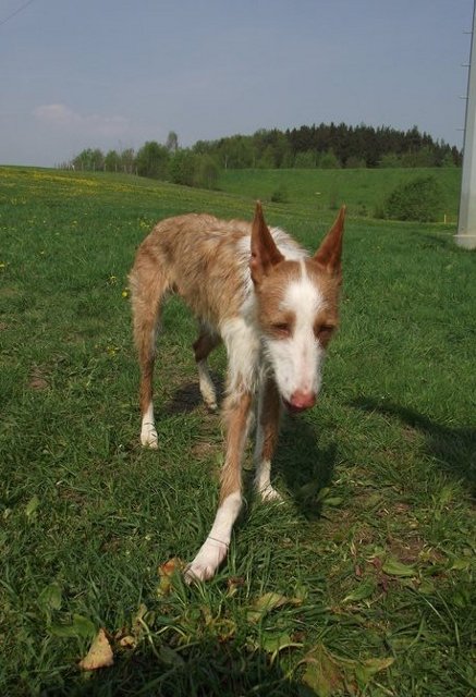 DSCF0388.JPG