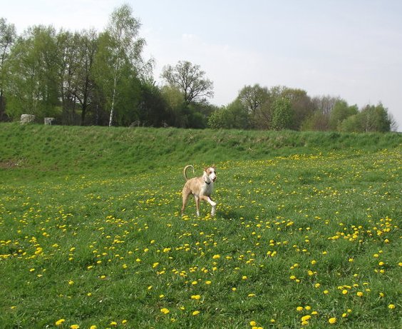 DSCF0393.JPG