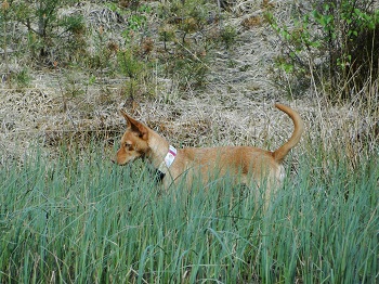 DSC09014.JPG