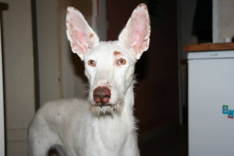 shanti11.JPG