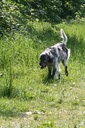 IMG_2132 Kopie.jpg