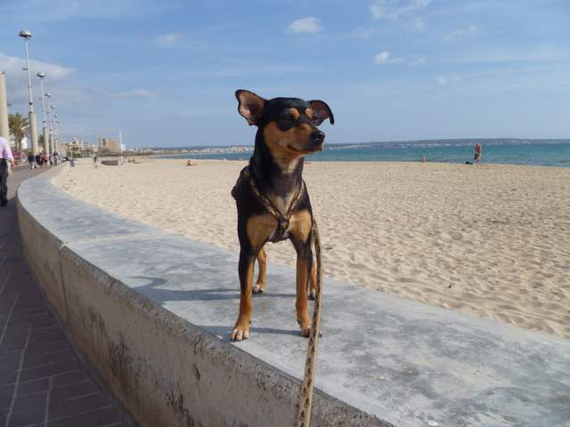 P1000547.JPG