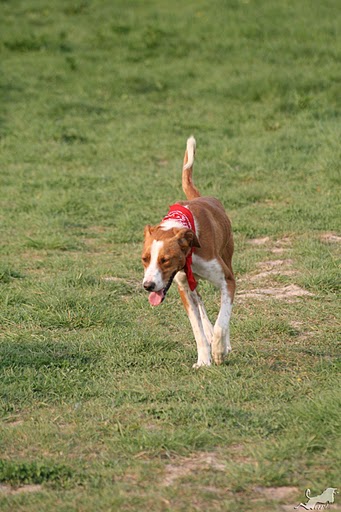 IMG_8826 Kopie.jpg