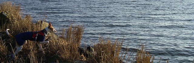 IMGP2609-1.JPG