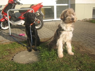 s_Bild 537.jpg