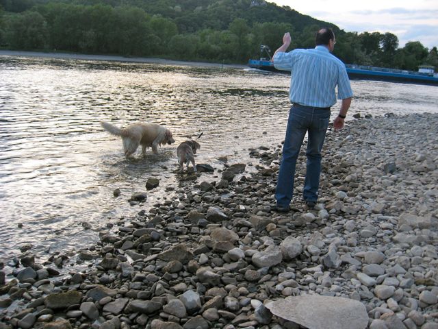 IMG_0063.jpg
