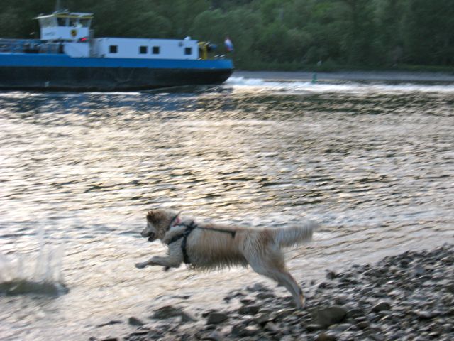 IMG_0067.jpg