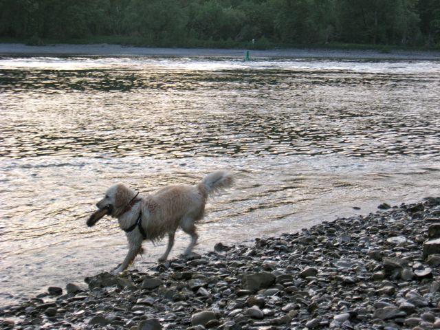 IMG_0069.jpg