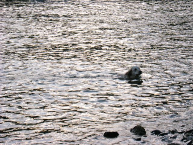 IMG_0074.jpg