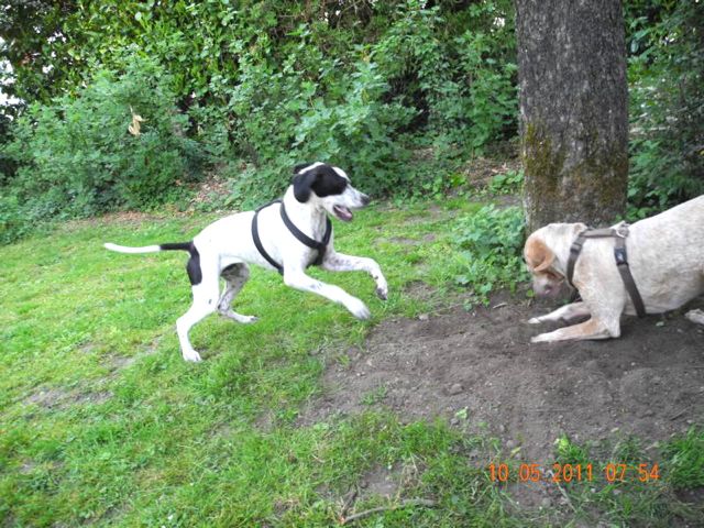 K800_DSCN0524.jpg