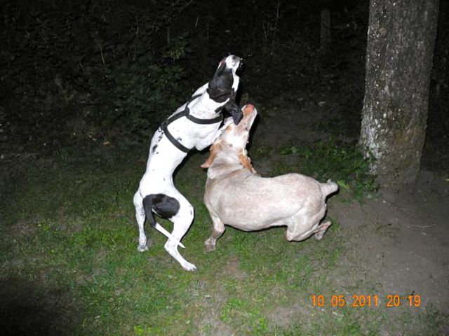 K800_DSCN0570.jpg