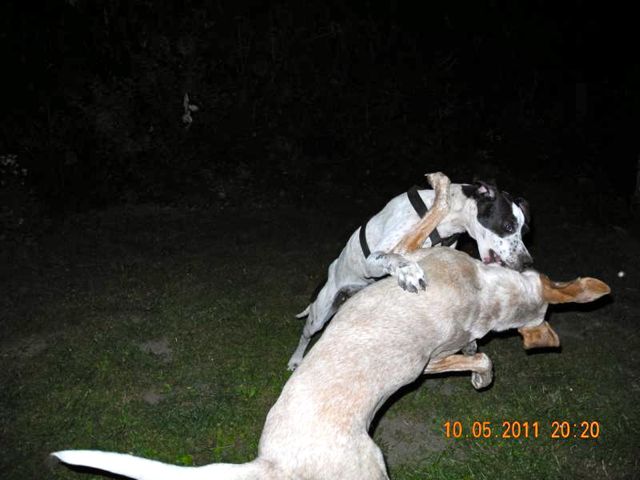 K800_DSCN0572.jpg