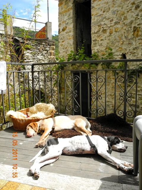 K800_DSCN0644.jpg