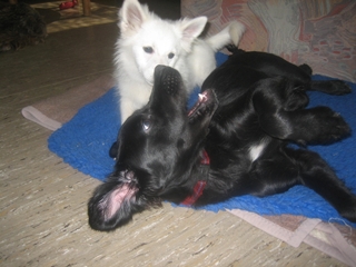 s_Bild 489.jpg