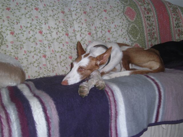PICT0019.JPG