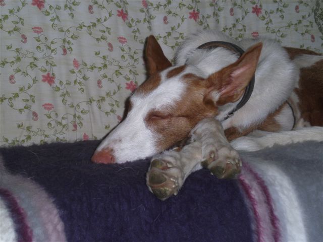 PICT0022.JPG
