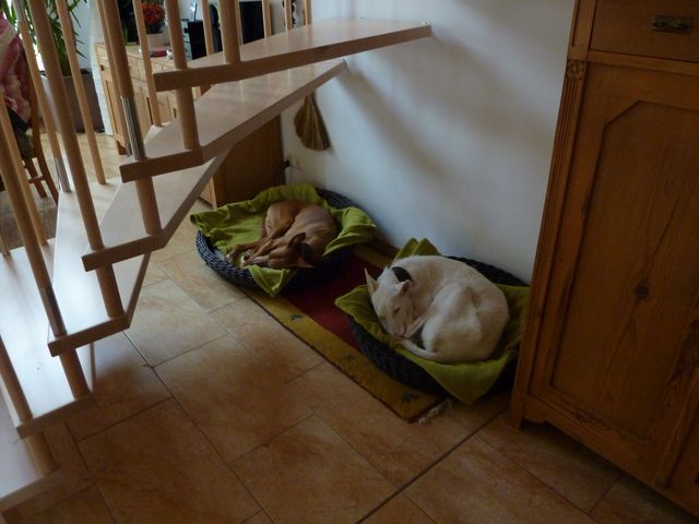 Carlos und Pablo.JPG