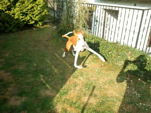Carli Quatschkopp.jpg