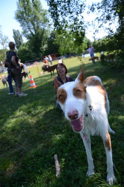 Bronte_Auslauf11.jpg