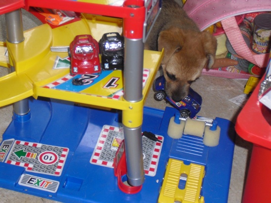 Blunas neuer Spielplatz.jpg