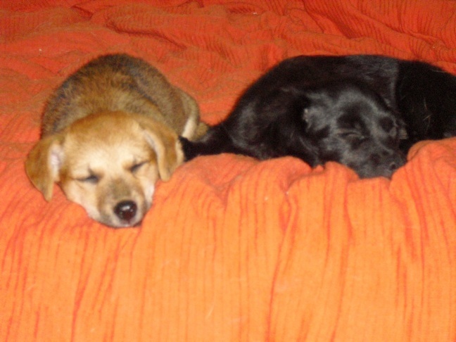 Bluna & Krümel.jpg