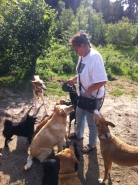 podenco fernsehen 041 klein4x.jpg