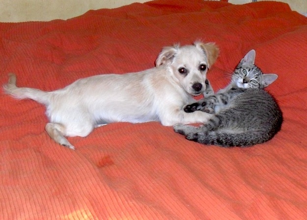Blanquita & Julian 1.jpg